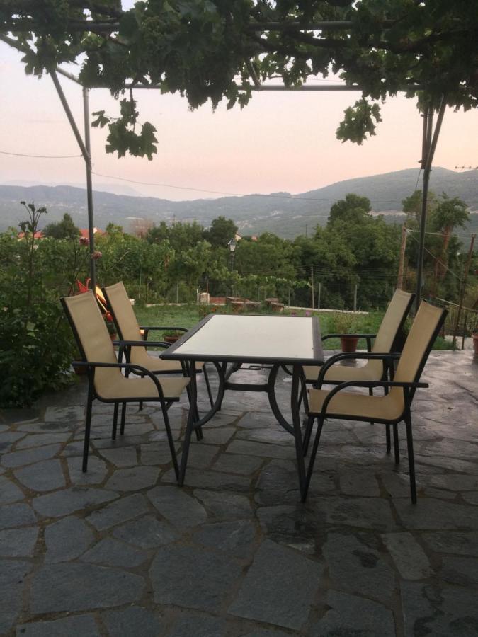 Guesthouse "Athina" Elliniko  Exterior photo